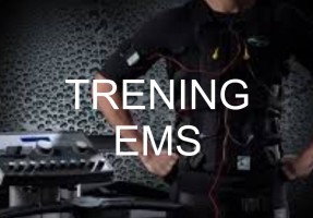 FORMULARZ TRENINGOWY EMS